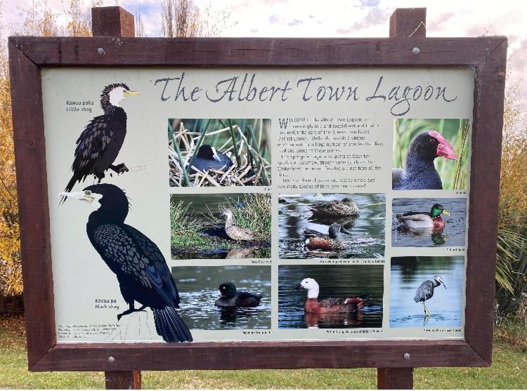 Albert TownRelaxing Getawayアパートメント エクステリア 写真